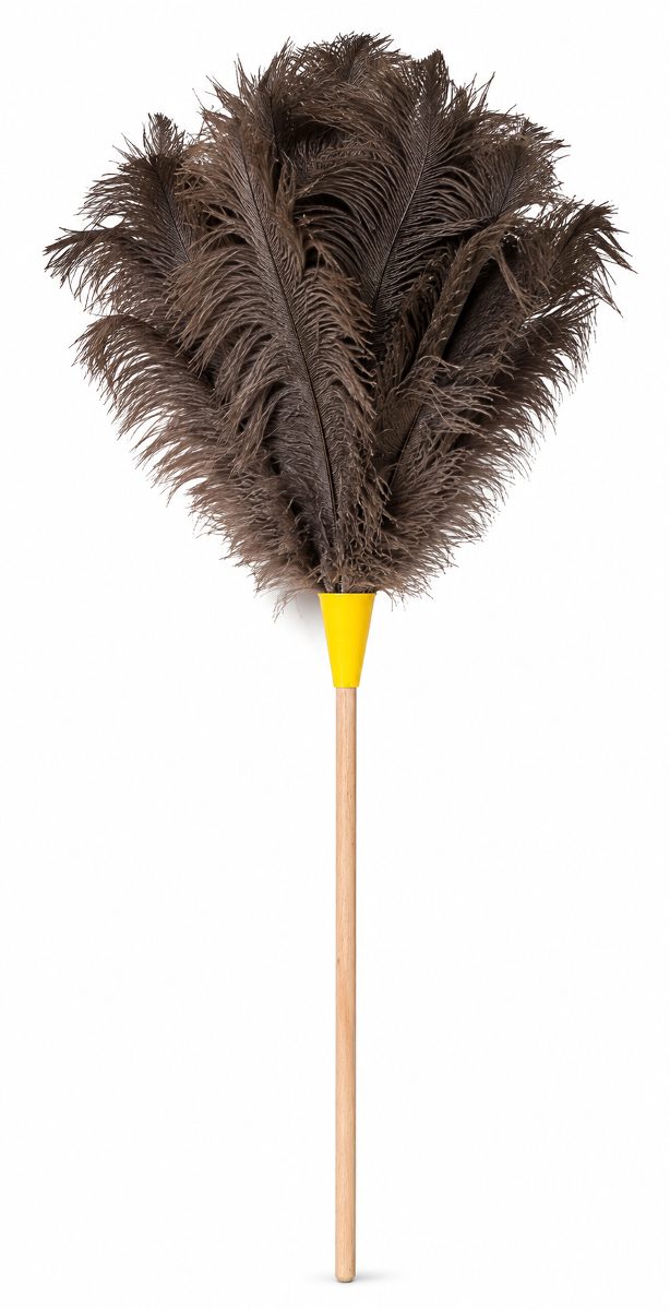 Feather Duster